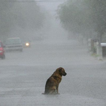 [EXO] 베톡조작욕받이어그로 <b>자태</b>