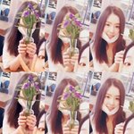 [레드벨벳] <b>배추</b>