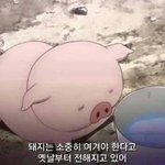 [EXO] 야 니네 데이터일때
