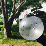 [방탄소년단] <b>콘서트</b><b>장</b>밖에서 이러고있다