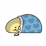 [방탄소년단] 지방수니+<b>안방</b>수니는