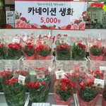 [EXO] 나 돈이 5000원 뿐인데 이거 ㄱㅊ?