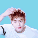 [EXO] 쟤들은 리더가 나서서 <b>표절</b>하는데 뭘