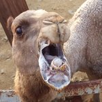 얘들아 잠 깨라
