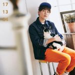 [세븐틴] 냐아옹!!!냐아아아ㅏ아옹