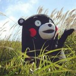 솔직히 원래 이 <b>캐릭터</b>