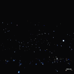 [VIXX] 별빛봉