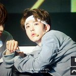 [세븐틴] ㅅㄷ)다들캐럿만난적있어?