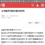 [세븐틴] 이것도 끌올인가?