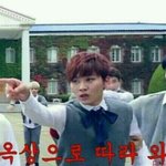[세븐틴] 왜도대체