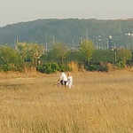 [세훈] 세후니 <b>촬영</b> 목격사진