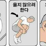 [조언부탁해] 살면서 <b>여우</b>같은성격이 좋다고생각함?