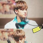 [세븐틴] 잘 있나 <b>내새</b>꾸덜