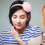 [세븐틴] 극한직업 세븐틴