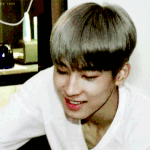 [세븐틴] 정말로 사랑해