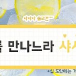 <b>샤샤샤</b>로 굿즈까지 만드는건 좀 아니잖아..(+수정)