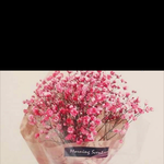 나 <b>초등학생</b>에게 고백받음