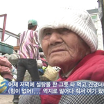 짱골라에게 치킨 맥주 바친 인천시