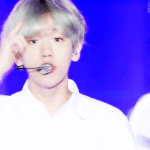 [EXO] 변백현은 사랑조카많이 받고 자란듯