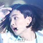 [세븐틴] 세븐틴 정한 이사진 <b>하울</b>닮앗다