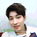 [세븐틴] 원우야,
