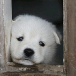 <b>휴무</b> 마지막 날 우리들의 모습