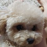 <b>오픈</b>채팅 드루와!ㅎㅎ