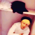 [방탄소년단] 똑똑-안냐세여 요정뉸기에여 +스밍