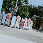 [방탄소년단] 콘섵 애들 실물 후기 올리고 간당