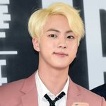 방탄 <b>진</b> 금발
