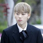 차려 입은 <b>대형견</b>