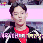 [CHEN] 판듀 <b>놀란</b>첸