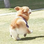 [댓글부탁해] <b>가출</b>할까 얘들아?