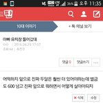 헐 애들아 나 기분 넘나 좋은것
