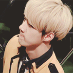 [EXO] 내 소원이 있다면
