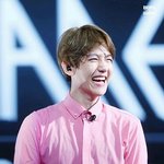 [EXO] 백현 <b>억지</b> 눈웃음