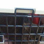 [고양이] 추가) 집에 누가 고양이 저격유기하고 갔어요.