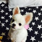토끼같은 내새끼