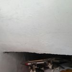 [고양이] 저희<b>집</b> <b>밑</b>에 길냥이가 새끼를 낳았어요