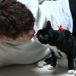 심형탁 <b>사료</b>브랜드 영상에 출연ㅎㅎ