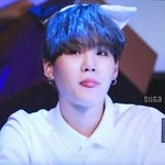 [방탄소년단] 민윤기 강아지 <b>설</b>(+스밍인증)