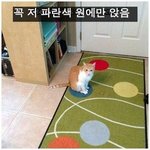 해외 <b>집사들</b>의 고양이 관찰기