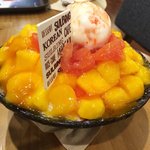 혼자 망고디저트 망고썸자몽<b>설빙</b> 먹고 왔어요!!