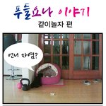 <b>엘리</b>바라기 요나이야기