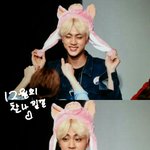 [방탄소년단] <b>햄</b><b>찌</b> 볼 ㅠㅠㅠㅠㅠㅠㅠ