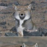 [댓글부탁해] 너네 이런게임 만들면 할거야?(추가