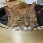 막상 와보니 길이 더 좋은걸까요?