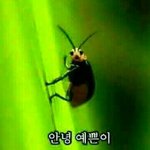 [설렘일화] 남사친한테 설렜던 썰