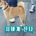 우리학교 하복=생활<b>복임</b>