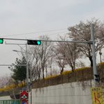 다들 자기가 찍은 <b>인생샷</b> 공유하자!